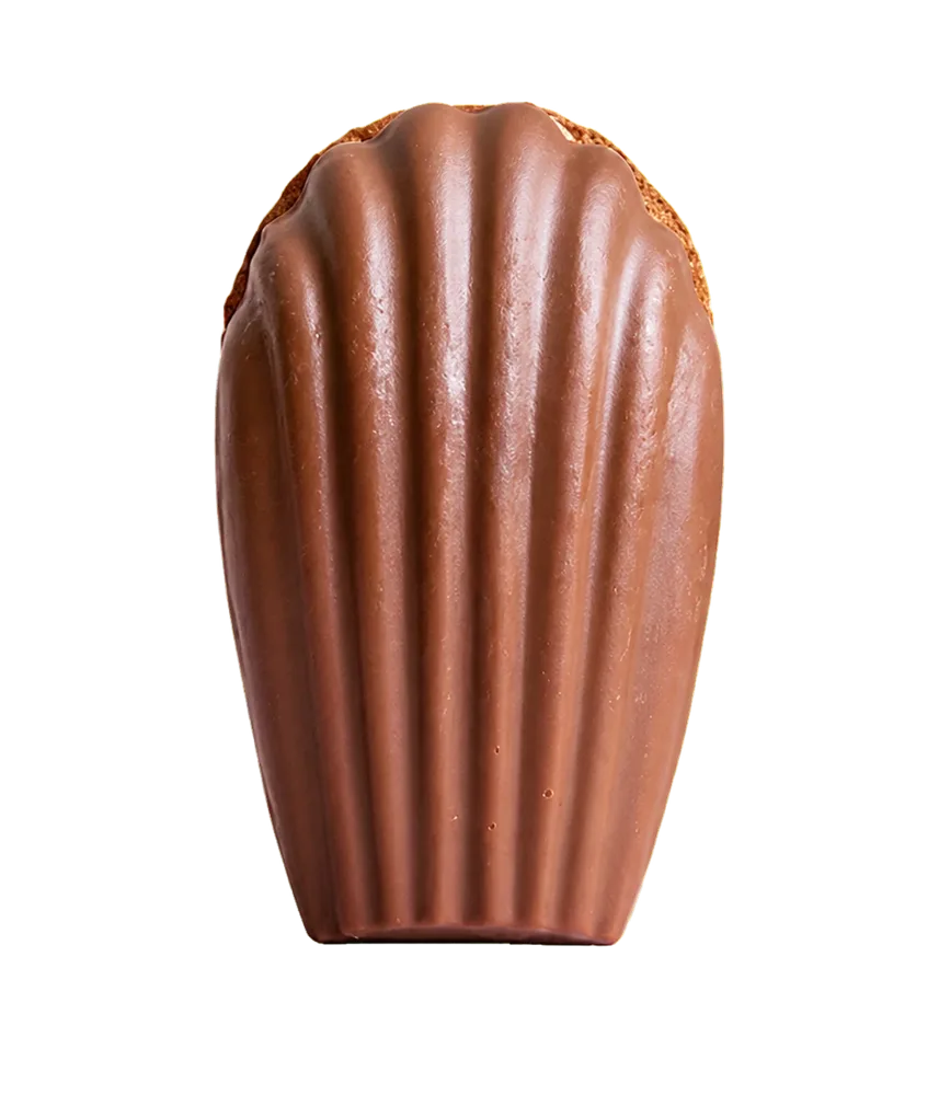 Hazelnut praline