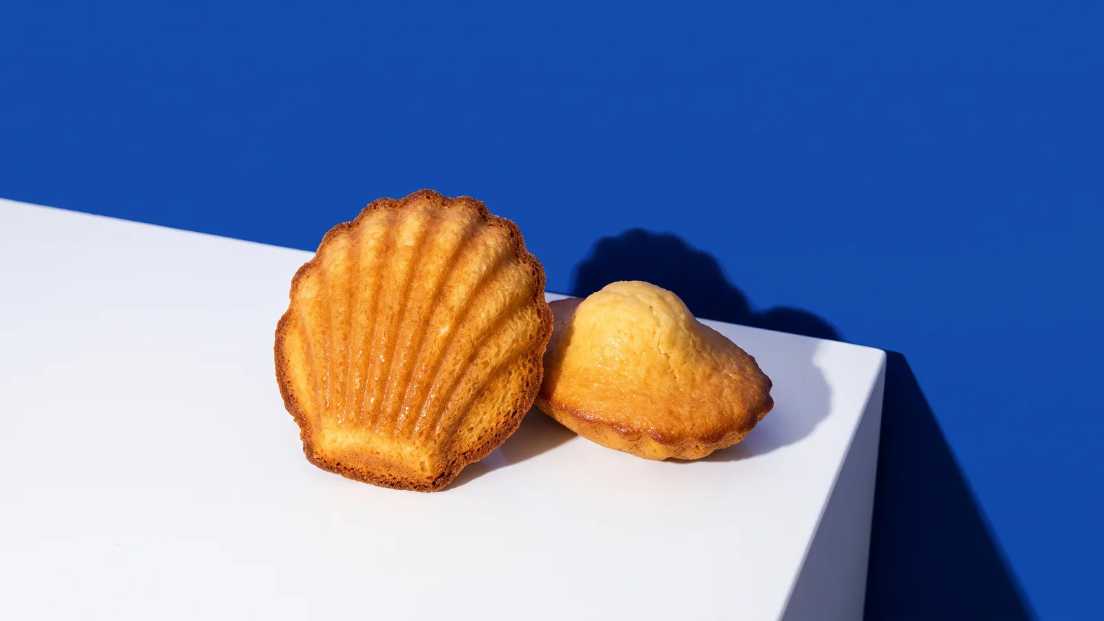 Two golden madeleines on a white block against a cobalt blue wall, one showing its ridged shell side and one showing its rounded hump